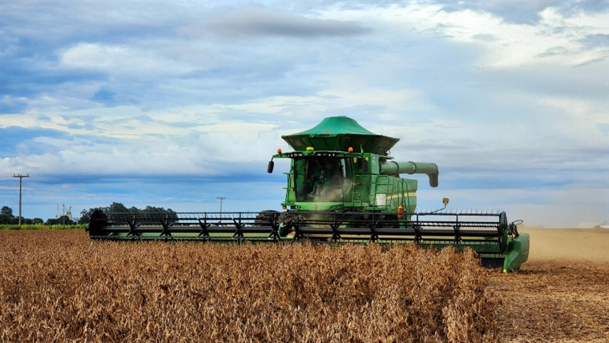 Na esteira de uma safra desafiadora, a Oilema, empresa baiana produtora de sementes de soja e sorgo, assegura sobre a garantia de volume e qualidade em sua produção 