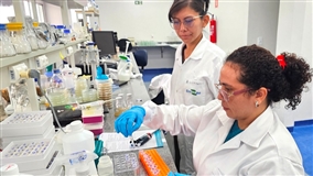 Programa de Iniciação Científica