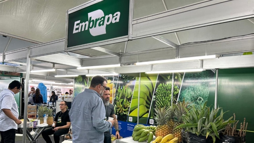 Embrapa leva novidades à Fruit Connections 2026 em Janaúba