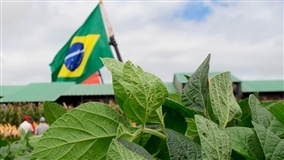ADAMA traz campanha #BomDeSoja e novidades em seu portfólio