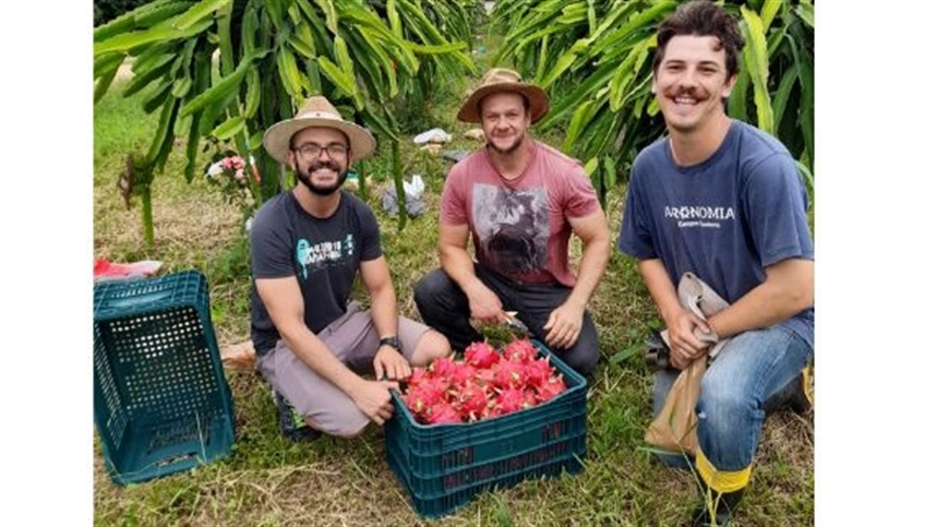 Controle sustentável de pragas na pitaia em SC