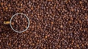 Infocafé de 11/12/19