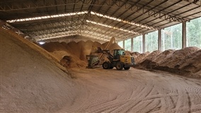 Processamento das folhas