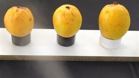 Embalagens sustentáveis