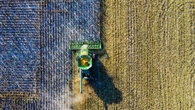 Preços agropecuários variam em SP: altas e quedas