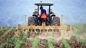 MT tem diversas vagas de emprego no agro abertas