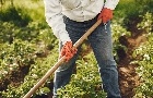 Agro bate recorde mas empregos acompanham o crescimento?