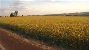 Análise