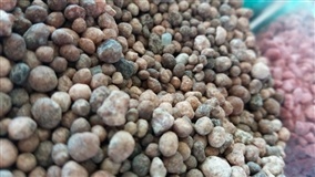 Cresce mercado de fertilizantes especiais no Brasil