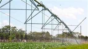 Agricultura irrigada em pequenas e médias propriedades?