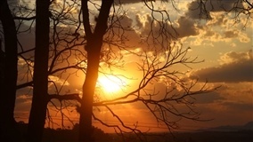 Altas temperaturas predominam durante a semana