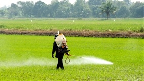 Redução de Agrotóxicos
