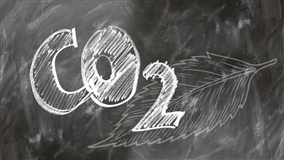 Expectativa para o texto final do mercado de carbono