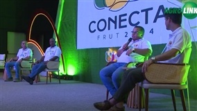 Conecta Fruit debate desafios e soluções da fruticultura