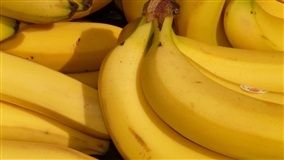 Nanica e prata litoral se valorizam na CEAGESP