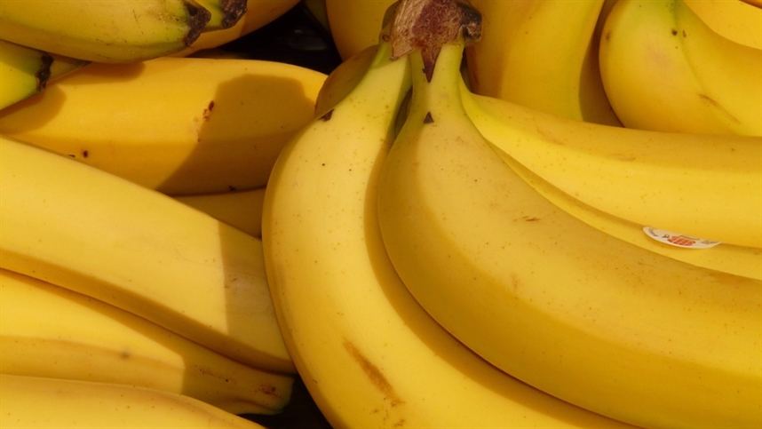 Projeto visa disseminar recomendações técnicas para banana