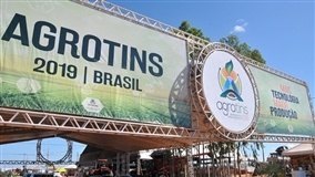 Feira virtual supera números do ano passado