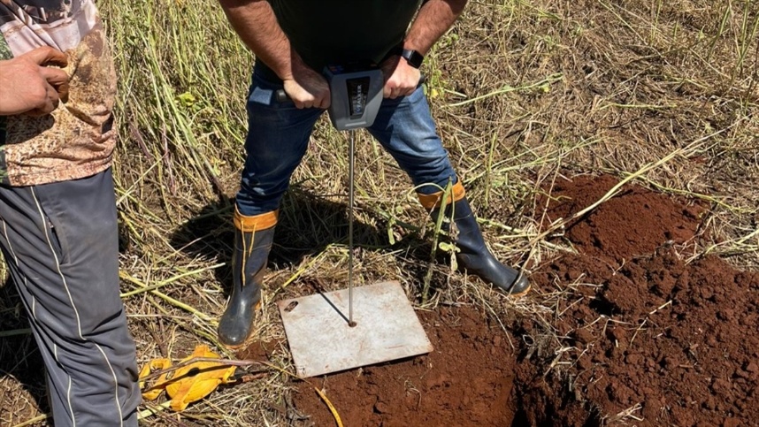 Produtores colhem 35 t/ha de silagem e recuperam solo compactado