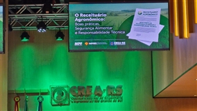 Responsabilidade técnica