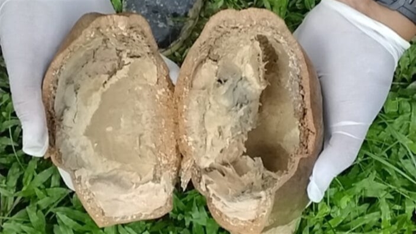 Acre investiga suspeita de monilíase