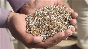Fertilizantes