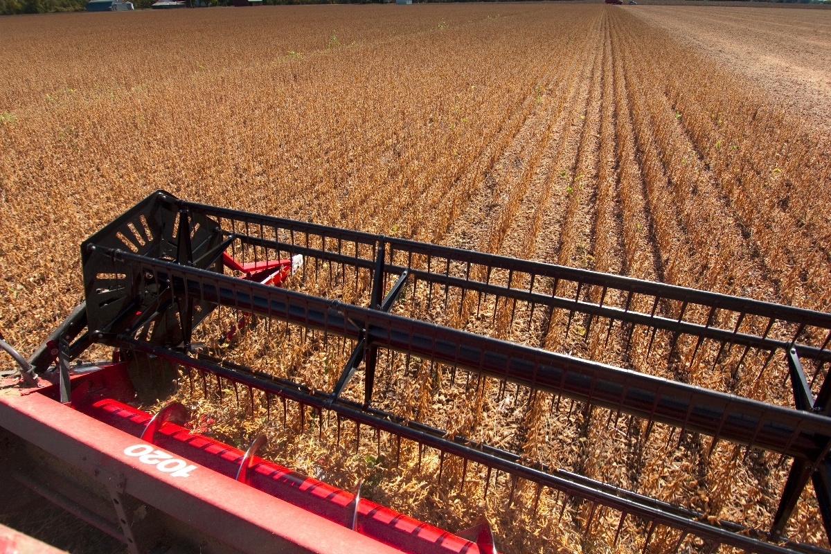 Soja e arroz ganham incremento de produtividade em mais de 80% dos ensaios  realizados com a nutrição ideal
