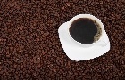 Preços do café arábica caem, mas calor preocupa cafeicultor