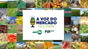 “A Voz do Mercado”