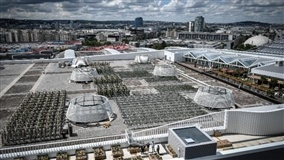 Conheça a maior horta urbana do mundo