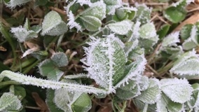 Frio perde força a partir de quinta-feira (09.07)