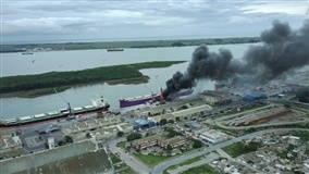 Navio Longevity Diva,