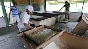 Live apresenta Boas Práticas de Fabricação de farinha