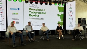 Fenasoja: Fórum discute brucelose e tuberculose no RS