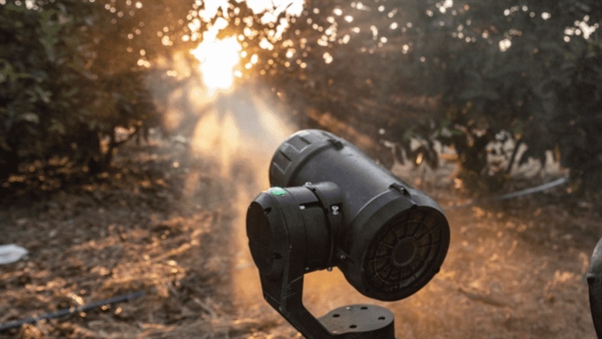 A sustentabilidade é central nesse avanço