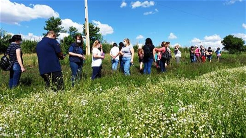 AGROLINK  O Portal do conteúdo Agropecuário. Confira: Noticias