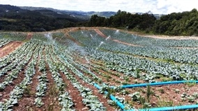 Seminário destaca Programa Irriga + RS e irrigação