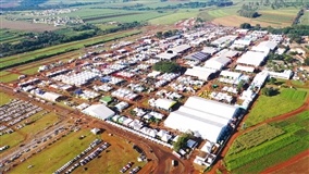Leguminosas sustentáveis são destaque na Agrishow
