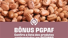 Feijão gaúcho entra na lista de bônus do PGPAF
