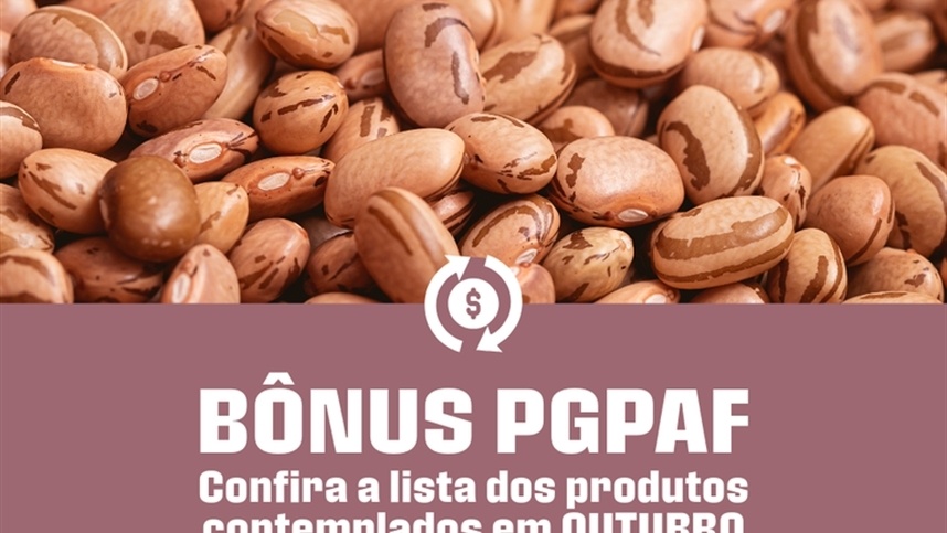 Feijão gaúcho entra na lista de bônus do PGPAF