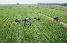 Agricultura de precisão