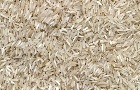 Mercado de arroz segue lento; exportações recuam