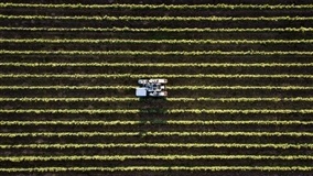 VBP está estimado em R$ 771,4 bilhões