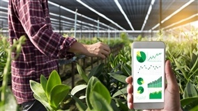 CIRCUITO IHARA DIGITAL democratiza o conteúdo digital e leva informação para agricultores