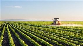 VBP recua no Paraná