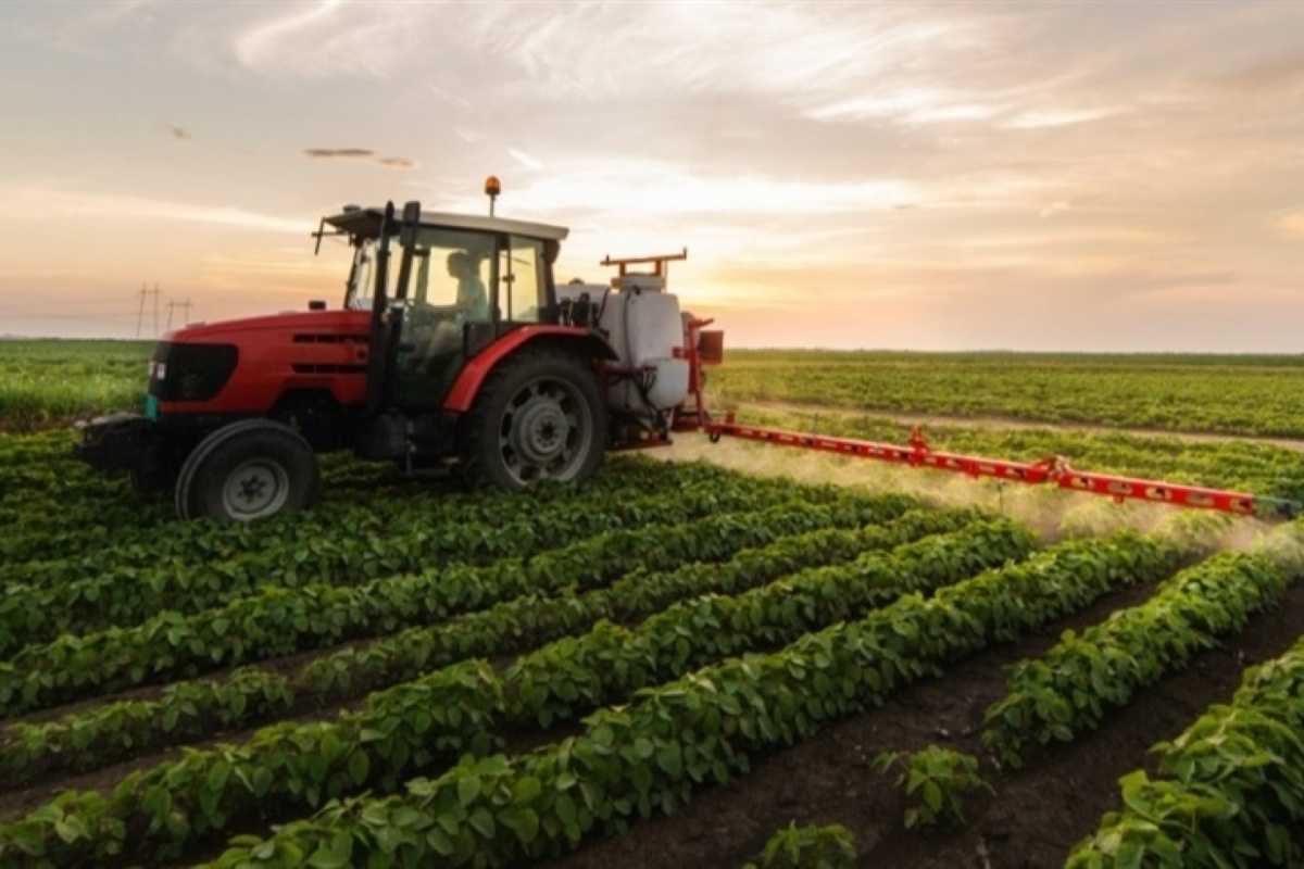 AGROLINK  O Portal do conteúdo Agropecuário. Confira: Noticias