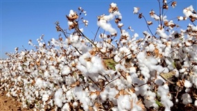 Agricultura