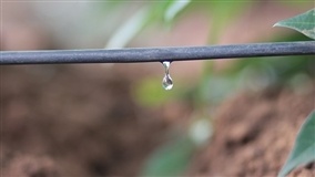 Irrigação agrícola