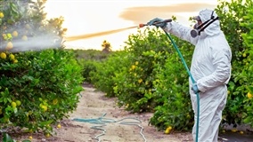Tecpar fará monitoramento de agrotóxicos na hidroponia PR