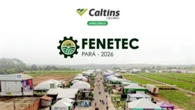 Fenetec Pará