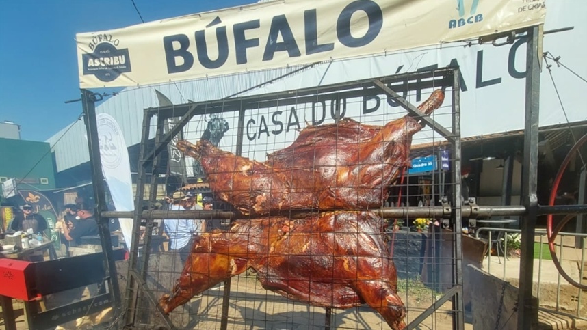 Produtos do búfalo ganham espaço na Expointer